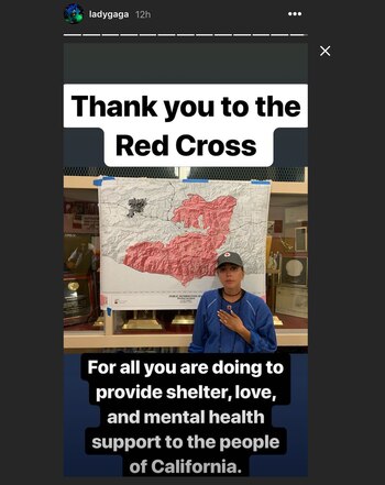 Lady Gaga agradeció la labor