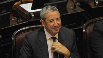 El senador Julio Cobos
