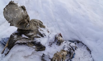El anillo que aún conservaba