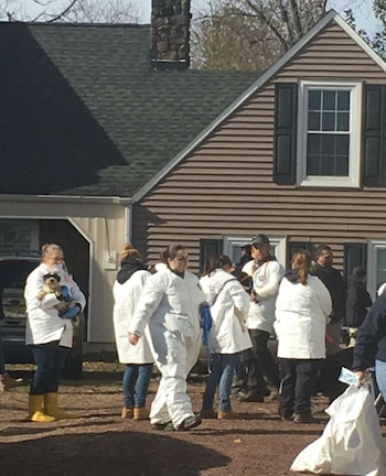 Investigadores terminaron mareados y con