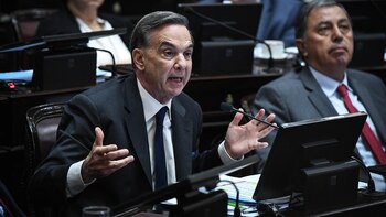 El senador nacional Miguel Pichetto