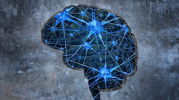 Durante este período crítico –