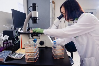 Jennifer Tang inspecciona algunas muestras