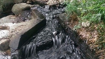 El oleoducto que dinamitó el