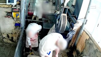 Los operarios no utilizaban las