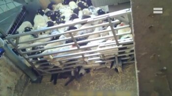 En las tomas, uno de