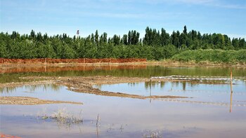 En 2016 se derrameron 240