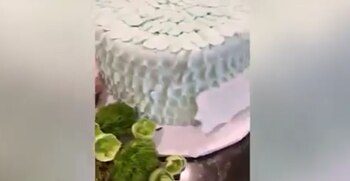 Los seguidores de Jenner se