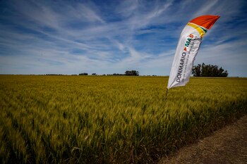 El encuentro fue una propuesta del semillerio DONMARIO.