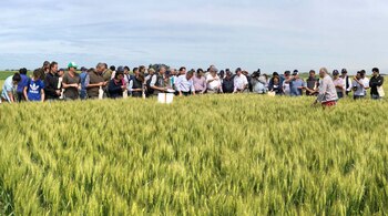 El público recorrió distintos ensayos con Gonzalo Montaner de DONMARIO.