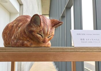 Imagen 4HKLGWZJJZBJRLT2RMO6XSGF6A