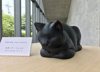 Imagen BDC6HBJ3EBHU3BGW6GBLA44WXQ