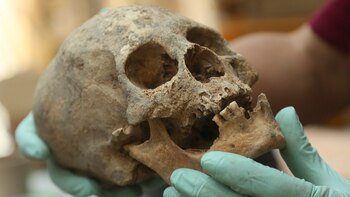 Jedu Sadarnaga muestra un cráneo