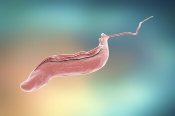 El Fexinidazol será una herramienta