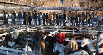 Se confirmó una nueva prórroga