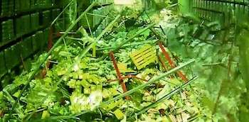 La zona del desastre aplastó