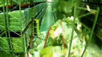 El desastre parecía no tener