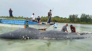 Las autoridades arribaron al lugar