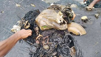 Había 5,9 kilos de plástico