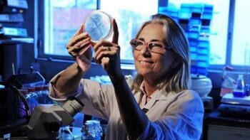 La investigadora superior del CONICET