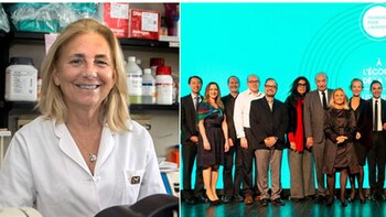 La doctora busca obtener moléculas