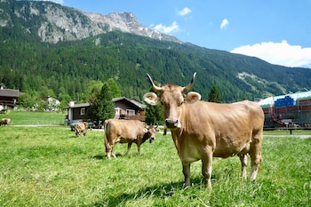 La ONU espera que el