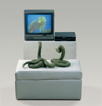 Pablo Suarez, Cazadores Mediaticos, 2003