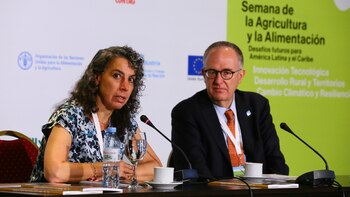 Entre las medidas para reducir