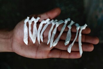 Estas pandillas se disputan el