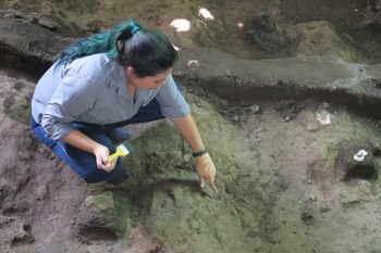 La arqueóloga mencionó que se