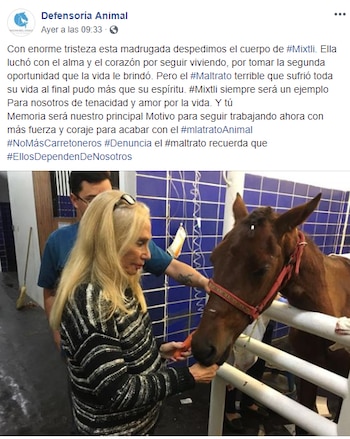 (@DefensoríaAnimal)