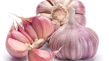 Mendoza es la principal provincia