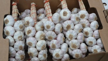 Señalan que el sector atraviesa