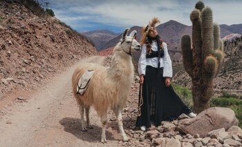 Camisa con manga farol ($