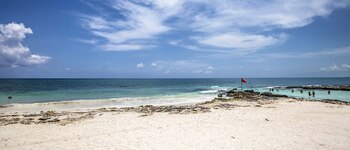 Los tonos de verdes en