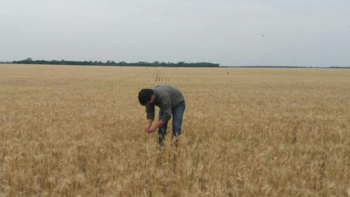 Según Russo, Entre Ríos y