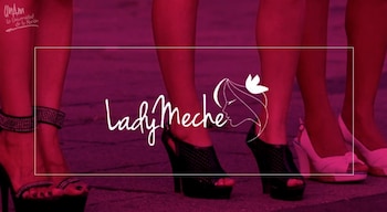 El proyecto fue lanzado como