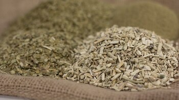 Los elementos esenciales que componen