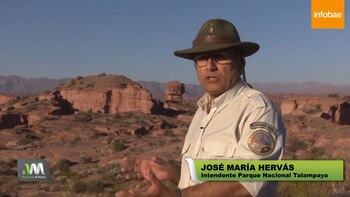 El ganado que allí habita dificulta las tareas de preservación de la flora y fauna autóctona, explicó el intendente del Parque Nacional Talampaya