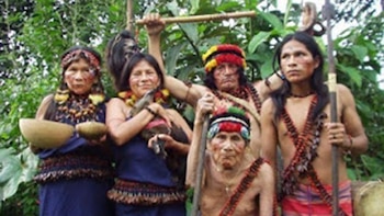 organizaciones indígenas aseguran que las