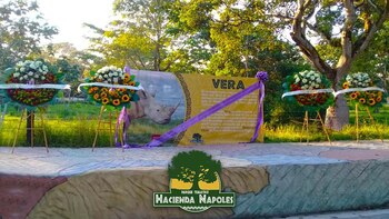 Sepelio simbólico que organizó el