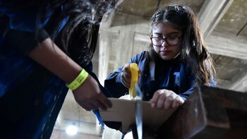 Las mujeres representan apenas un