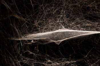 La expo fue concebida como