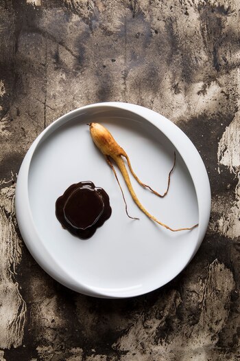 La experiencia fue un ejemplo