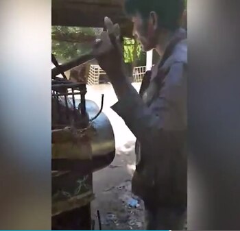 (Foto: Sound of Animals)