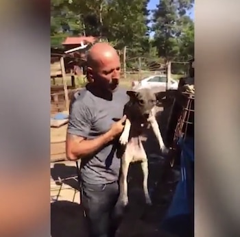 (Foto: Sound of Animals)