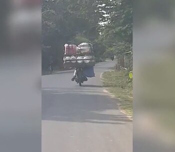 (Foto: Sound of Animals)