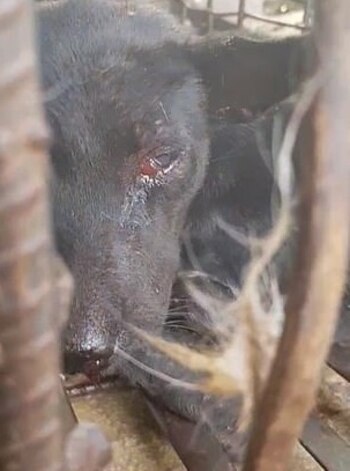 (Foto: Mercury Press and Media)