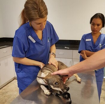 (Foto: Mercury Press and Media)