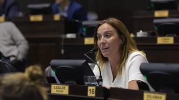 La diputada provincial Valeria Arata
